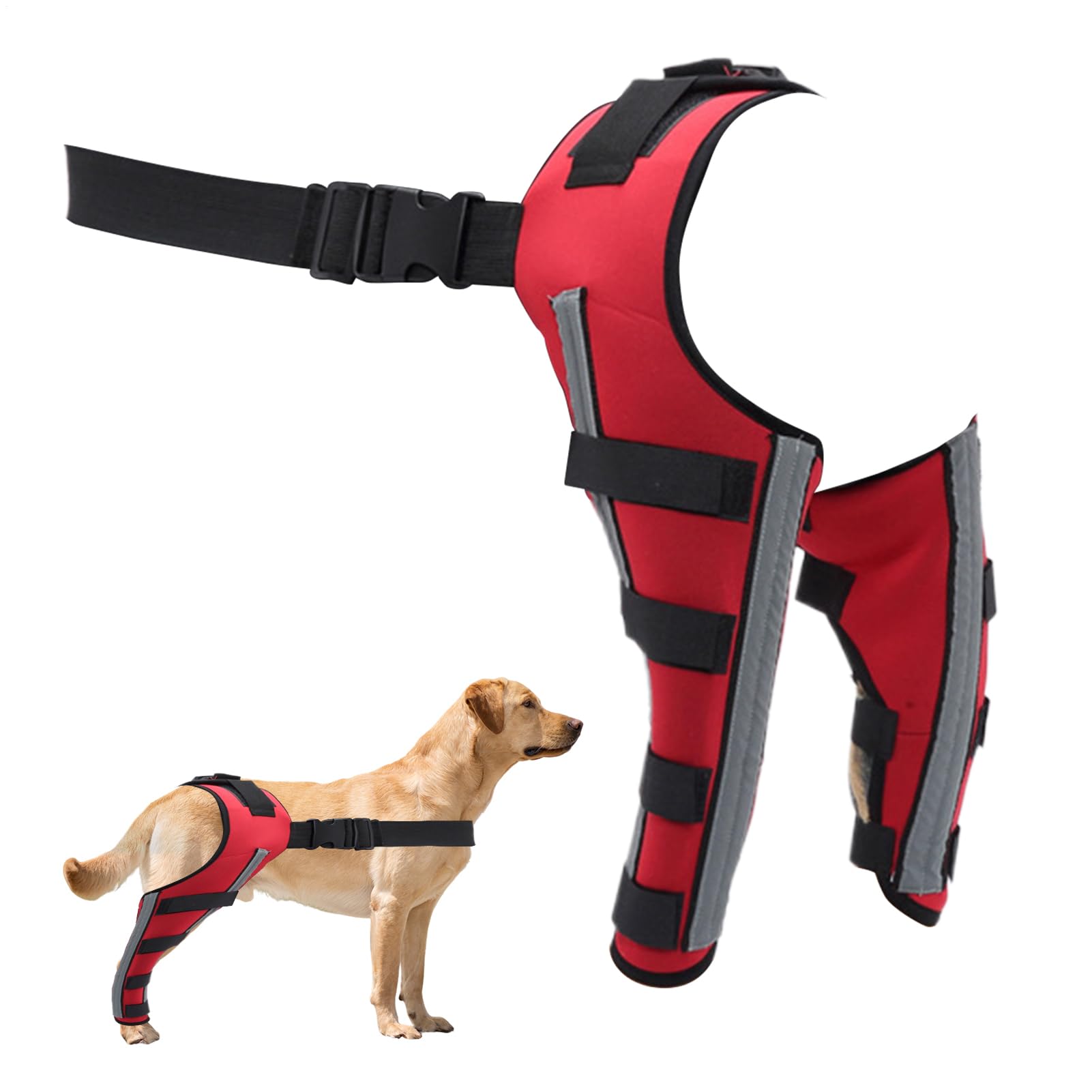 Attelle de genoux de chien portable avec support de la hanche et du dos