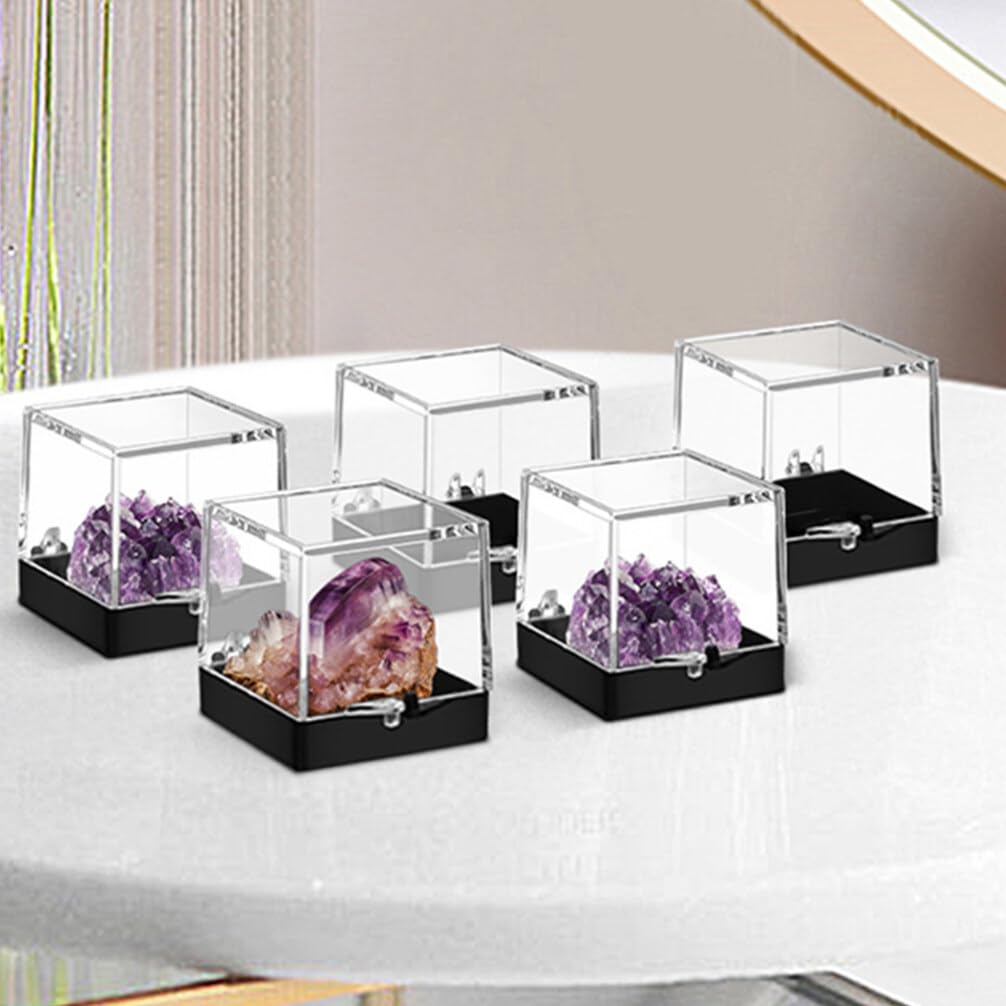 Zerodeko Transparente Präsentationsboxen Wiederverwendbar 3 Stück aus Kunststoff mit Glatter Oberfläche Einfache und Elegante Aufbewahrungslösung für Mineralienaufbewahrung für Zuhause