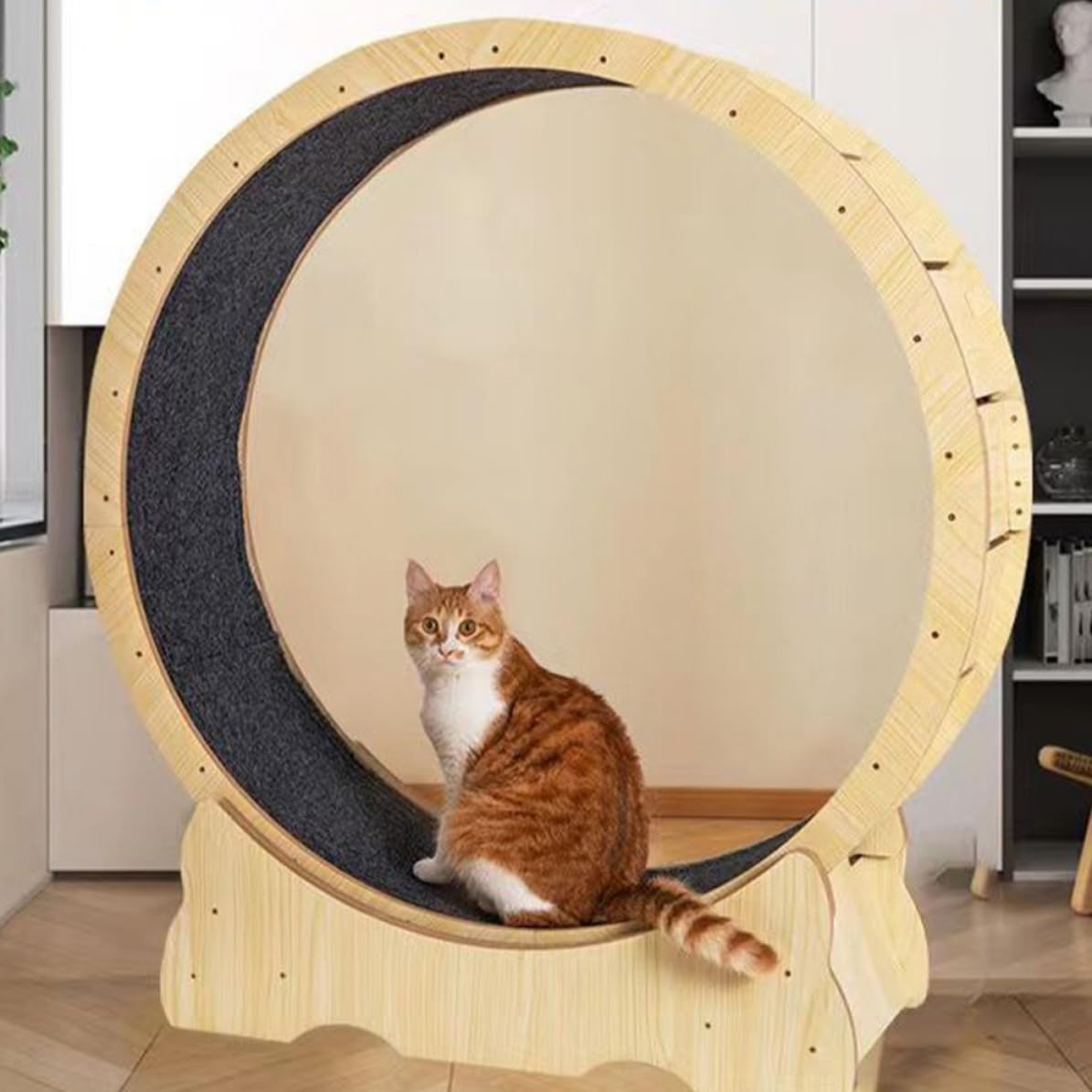 Healifty Laufrad Kratzmatte aus Filz für Katzen mit Multifunktionalem Design und Einfacher Montage als Kratzmatte für Indoor Katzenlaufband Ersatz