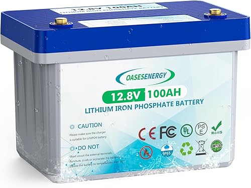 Oasesenergy Batería LiFePO4 de 12 V 100 Ah, batería de litio de ciclo profundo integrada 100 A BMS, hasta 15000 ciclos, perfecta para viajes en RV,