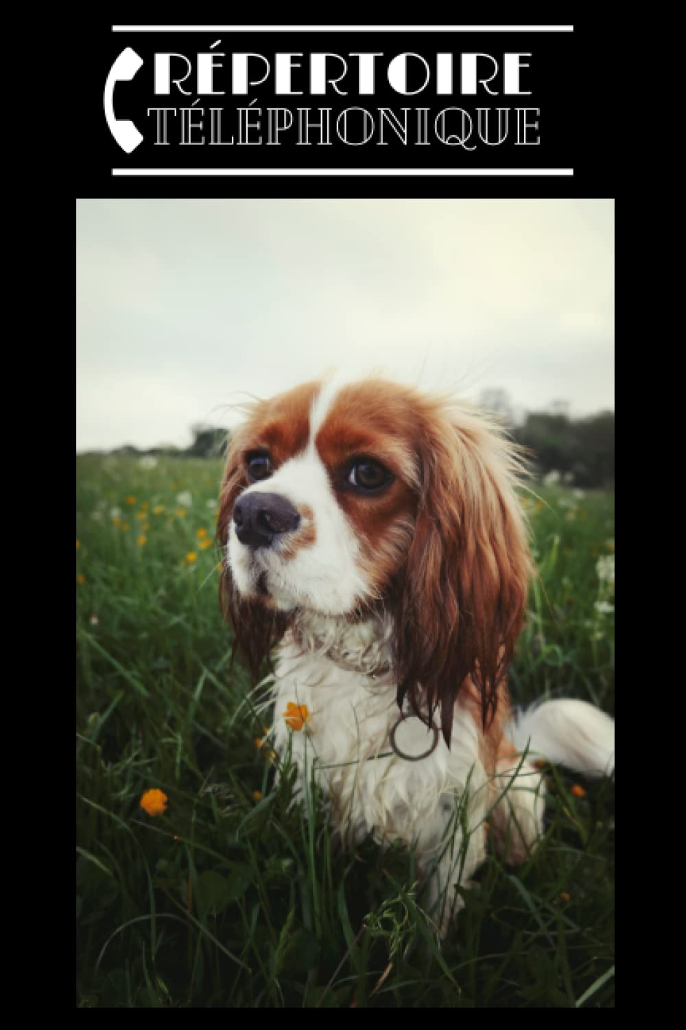 Armelle DenisRépertoire téléphonique: alphabétique chien Cavalier King Charles Spaniel. Carnet d’adresses et téléphones à compléter au format A5 pour plus de 400 contacts