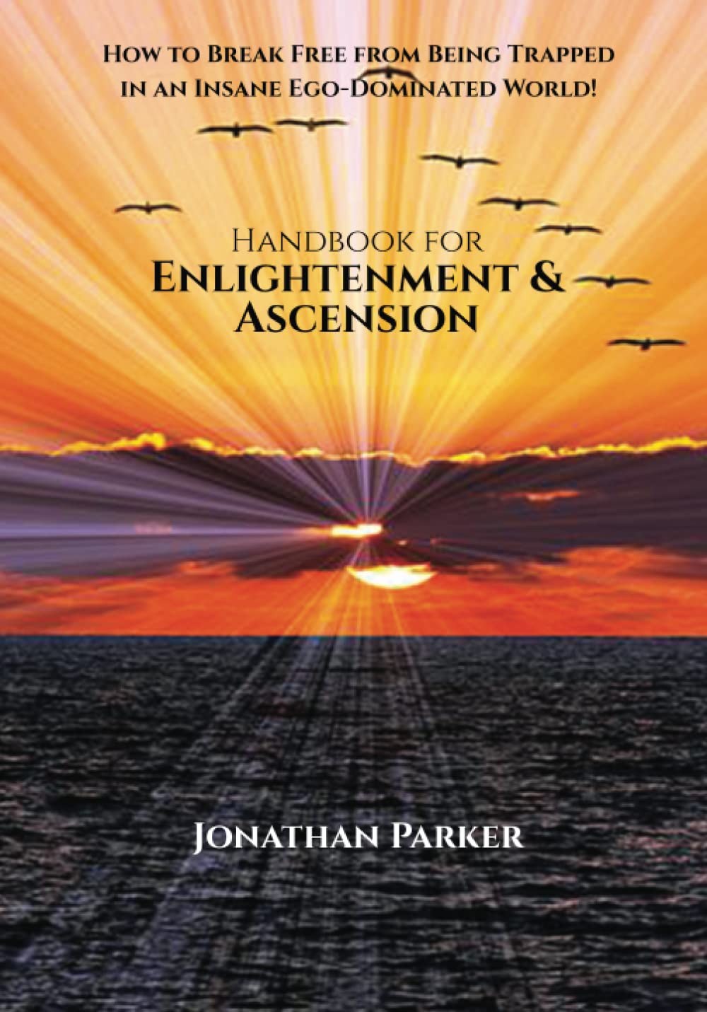 Handbook for Enlightenment & Ascension: How to Break Free from Being Trapped in an Insane Ego-Dominated World