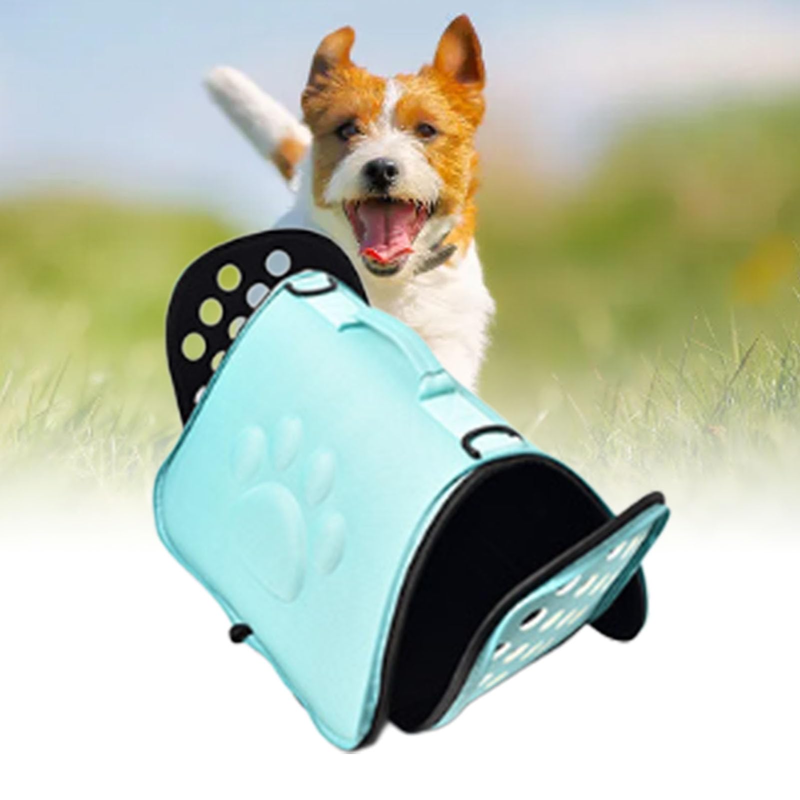 Haofy Transportín para Mascotas EVA, Transpirable, Suave, Transportador de Viaje para Gatos, Perros Pequeños, Bandolera, Portátil, Plegable, con Correa para el Hombro, Gran (L Máximo 7,5 kg)