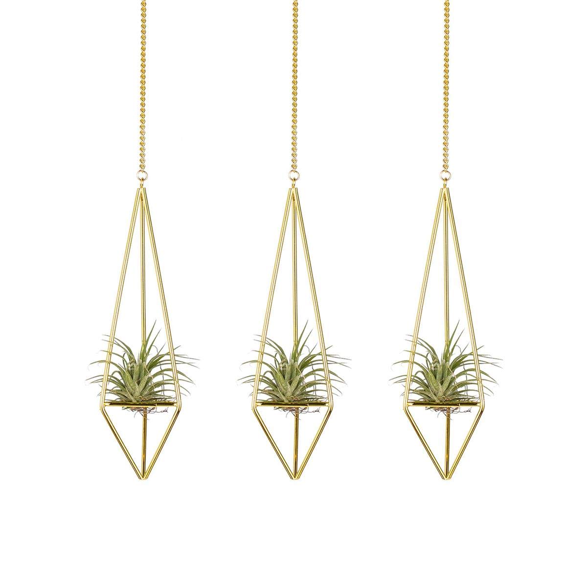 KnikGlass Set of 3 Hanging Air Plant Holder, Geometric Plant Hanger, Metal Air Plants Holder Home Decor for Tillandsia Air Plants Ceiling or Wall Decoration