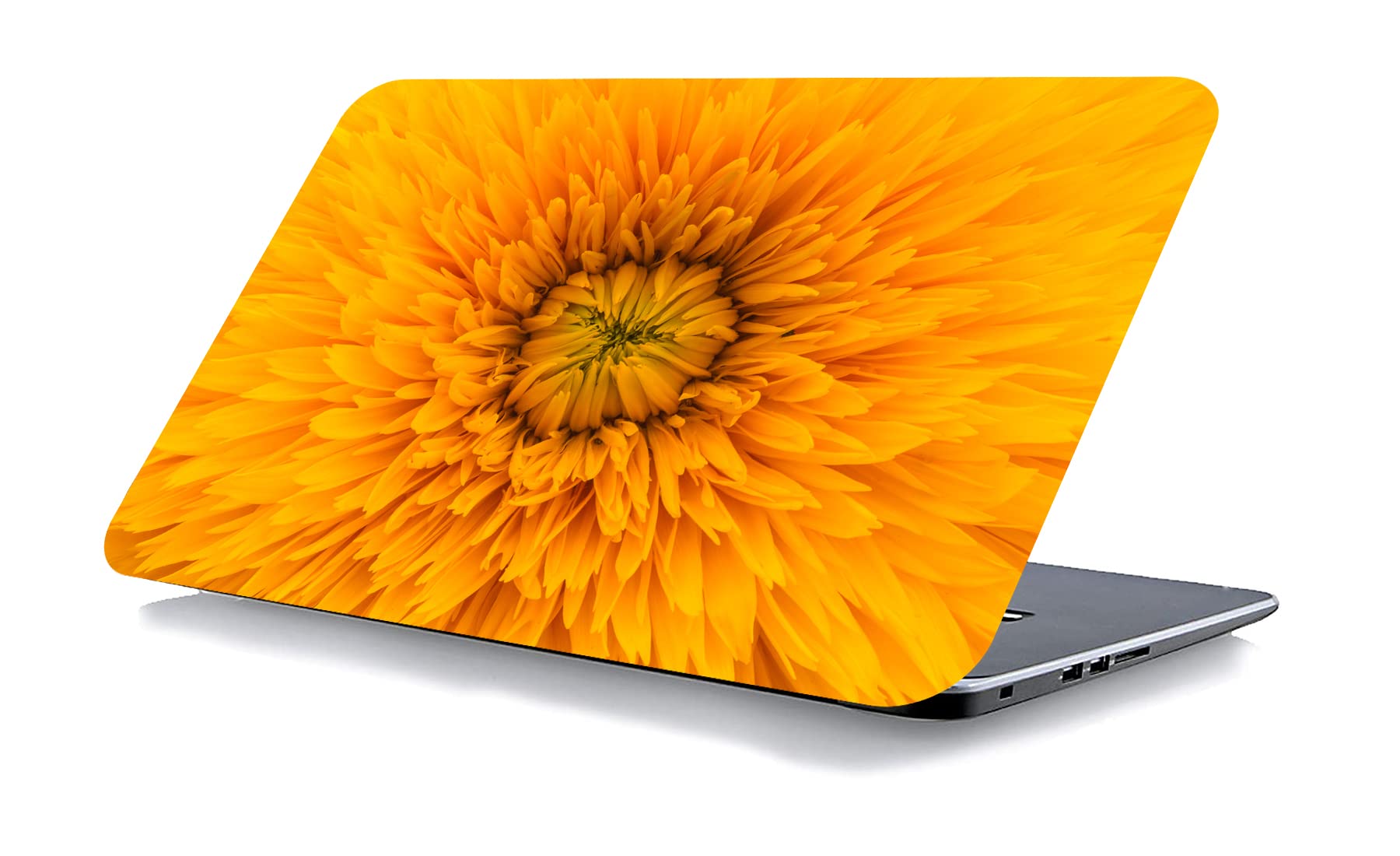 QTH Dynamic Design Laptop Sticker 15.5 Inch QTH-L11-1179 (B09LM1HXH4) Amazon Price History, Amazon Price Tracker