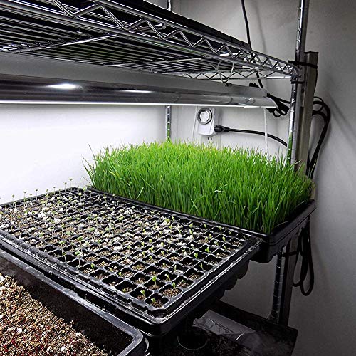 voloki Bandeja De Cultivo De Plantas | Bandeja De Germinación De Semillas De Plantas | Bandeja De Germinación De Plástico Duradero con Orificios De Drenaje - Negro Refined