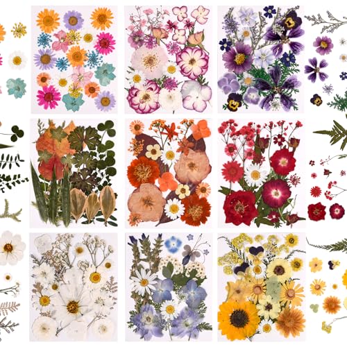 Image of 9 Packs of 200 Pressed Dried Flowers and Leaves for DIY Crafts | Assorted Real Natural Dry Flowers with Tweezers For Resin, Soap, Jewelry, Card Making,Nail Artand Scrapbooking