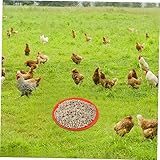OFFSCH 2stücke Geflügelfuttertablett Kunststoff Rund Leicht Bruchfest Mit Rutsch Boden Für Fütterung Von Hühnern Gänsen Und Enten Im Stall Und Freiland