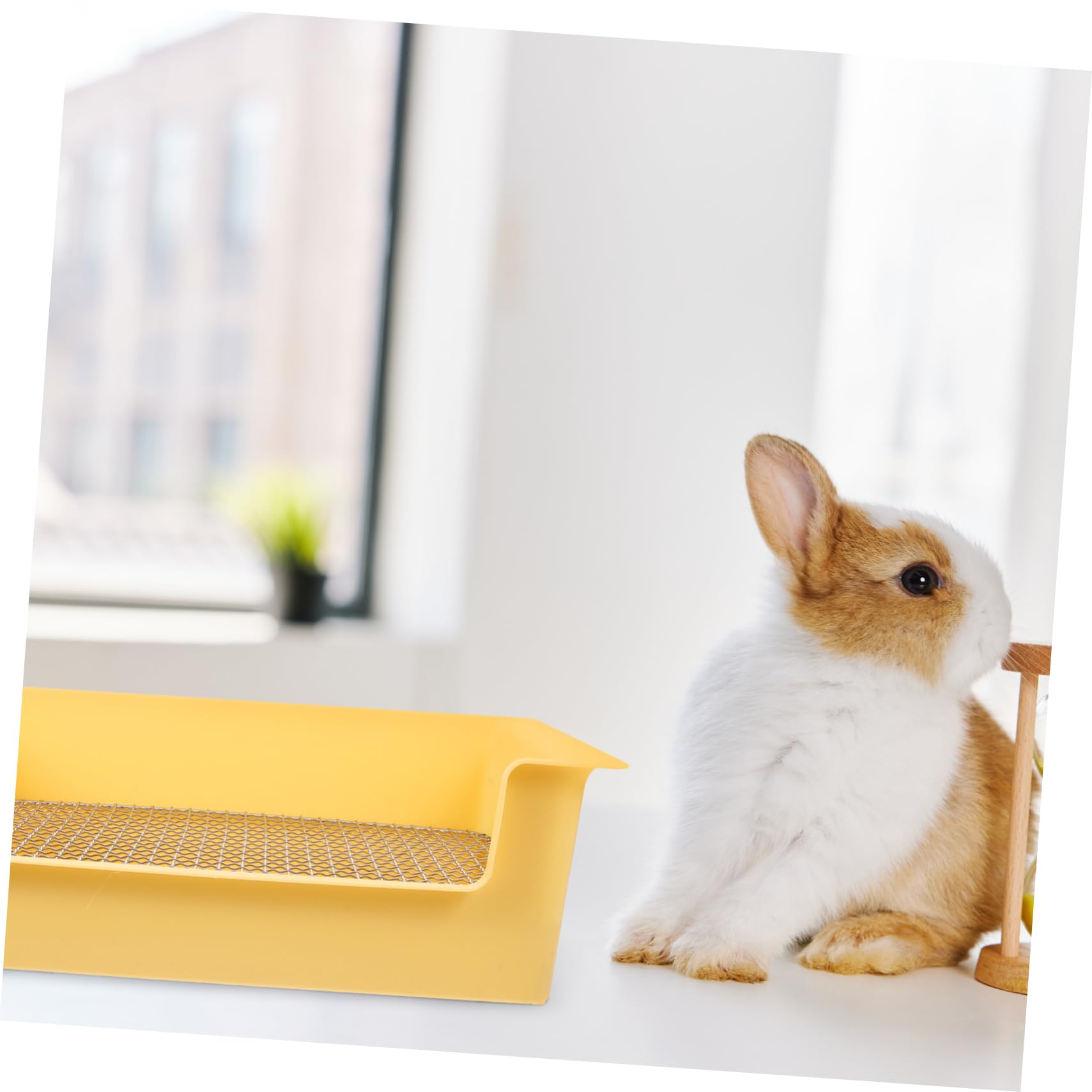 Abaodam Lettiera Per Conigli e Piccoli Animali Vasino Per Criceti Porcellini D'india e Cincillà in Pp Toilette Riutilizzabile Per Addestramento Accessorio Per Gabbie e Casa Design Pratico e Resistente