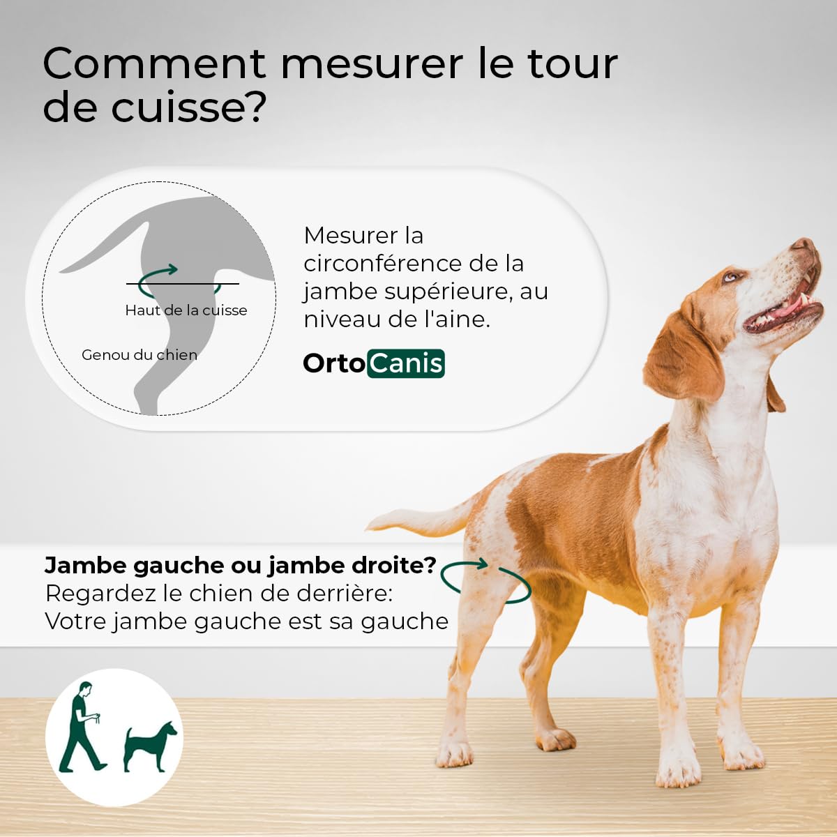 Ortocanis - Genouillère pour Chien - pour Patte Arrière Droite - Fabriquée en Néoprène ARD - pour Déchirure du LCA, Lésions Ligamentaires - Taille Large (32-36 cm)
