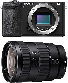 Sony Alpha a6600 Mirrorless Digital Camera Body - with Sony E 16-55mm f/2.8 G Lens