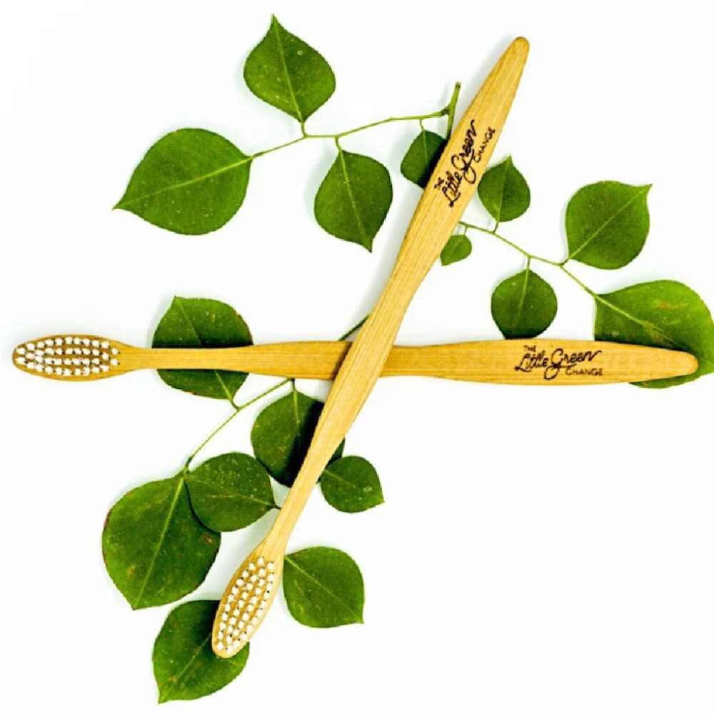 Bamboo Toothbrush