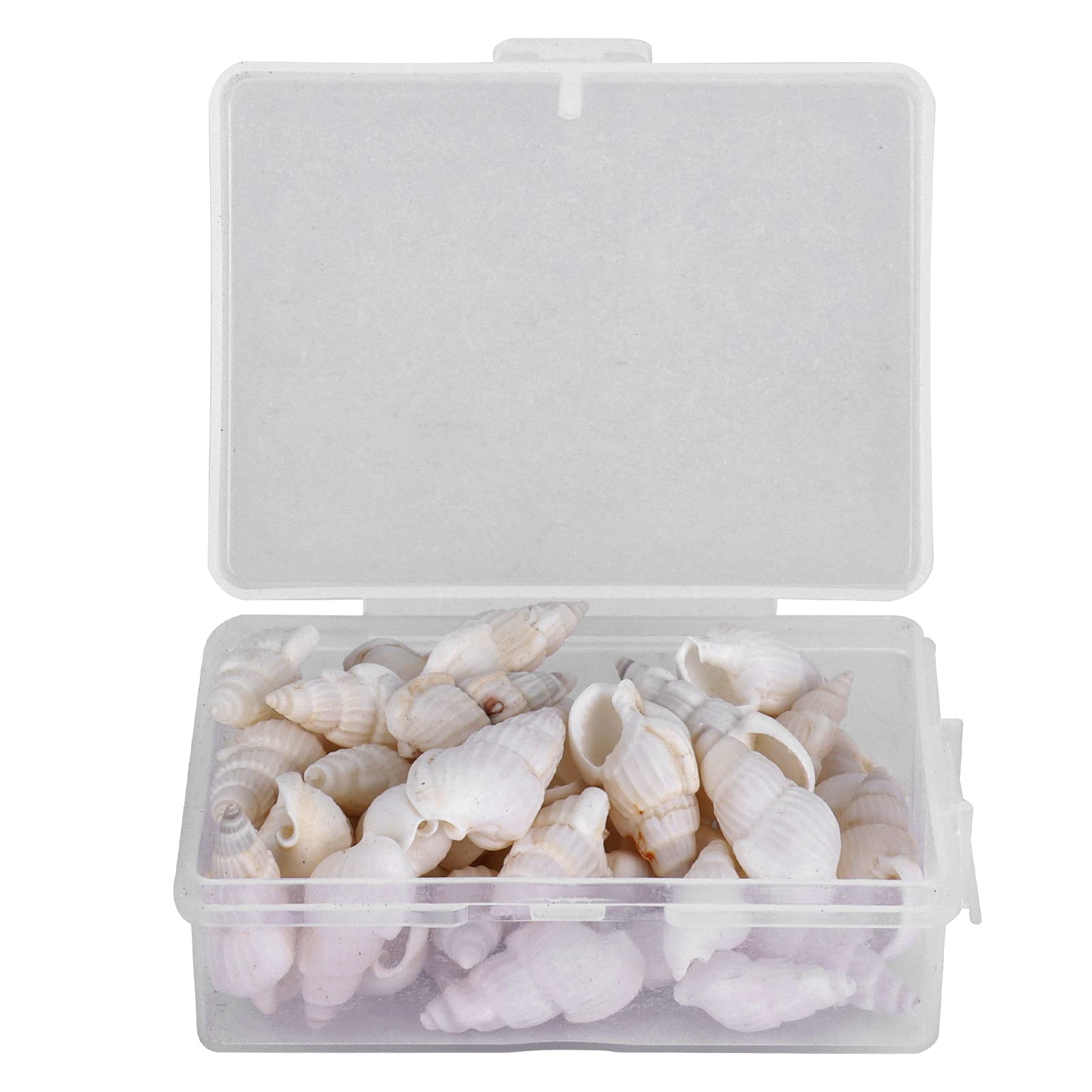 Ymiko Sea Snail, Shells Sea Snail DIY Conch Jewelry Craft DIY Conch Home Wedding Decorations Ornament