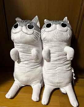 ★新品・未開封★夜は猫といっしょ 長座布団 帰宅したら新入りがいた🐾 #ハチワレ #抱き枕 #長座布団 #猫