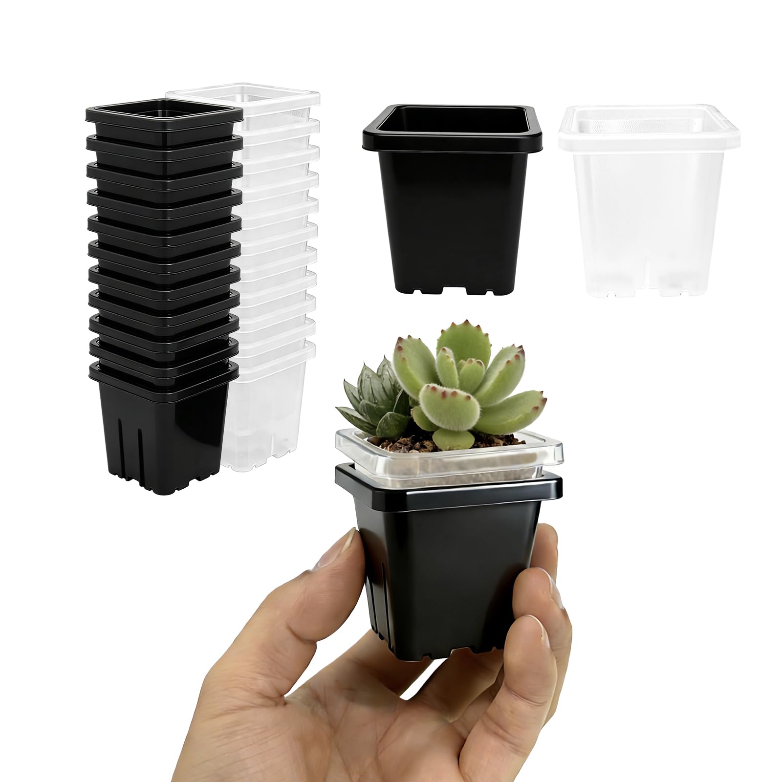 FEZEDA 2 Inch 24Pcs Square Plant Nursery Pots Black and Clear, Seedling Planter Seed Starter Pots, Sturdy Small Plastic Pots with Drainage Holes