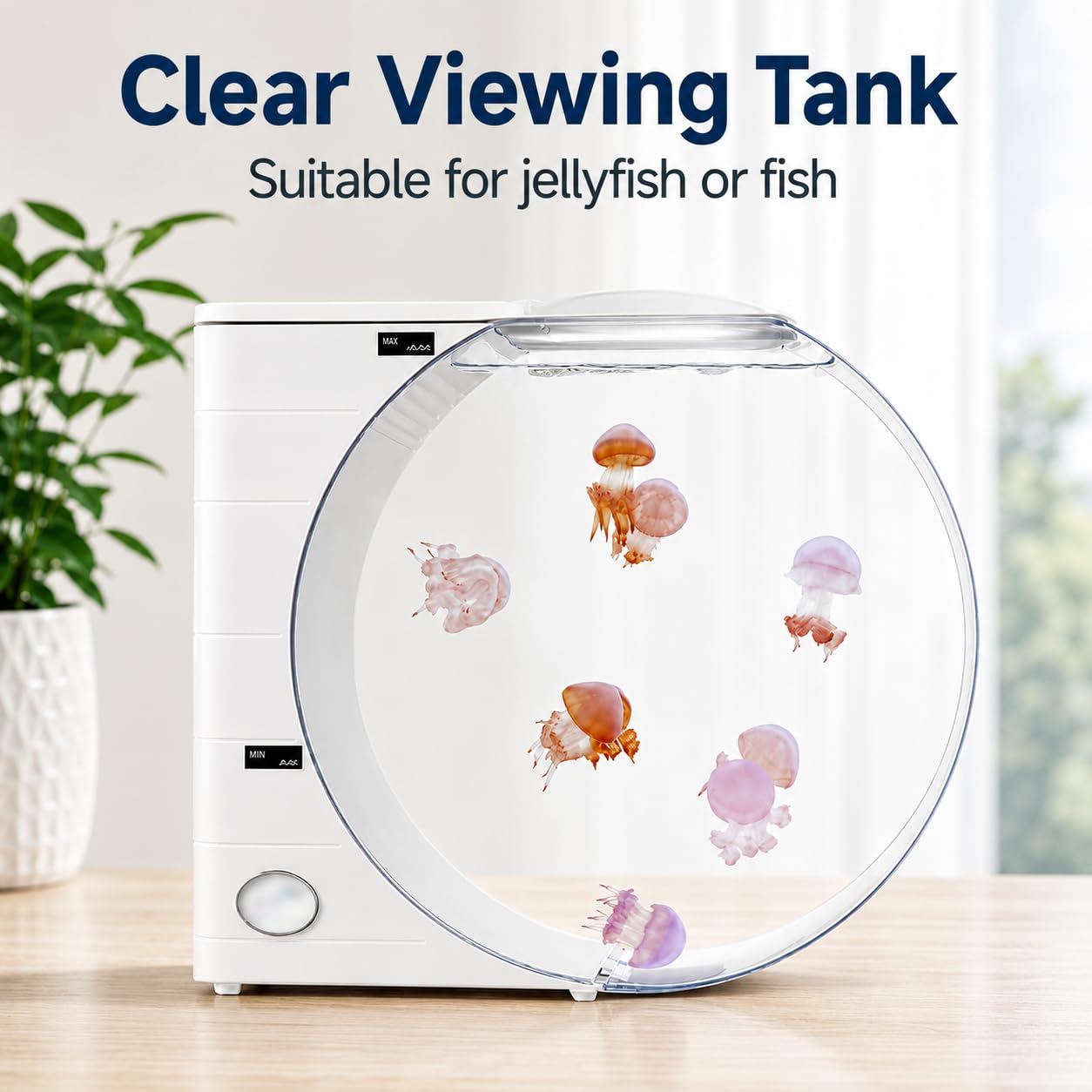Tanque de acuario de medusas de 10 L con luces LED y bomba USB