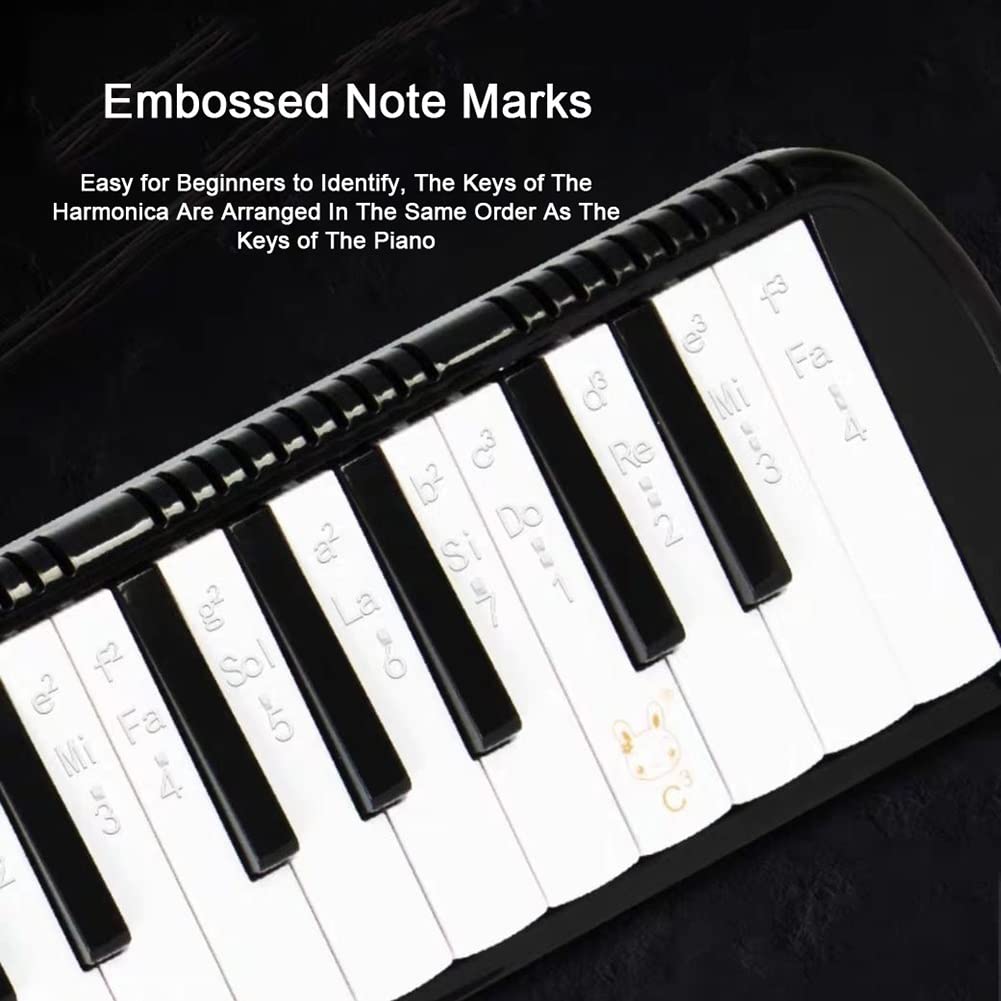 Piano mélodica 41 Touches pour étudiants, Instrument de Musique pour débutants, Pratique de la Performance, avec Sac de Transport