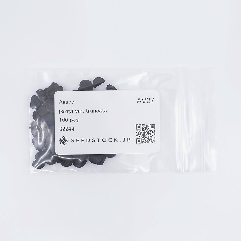 Amazon.co.jp: SEEDSTOCK アガベ 種子 トランカータ (100) : DIY