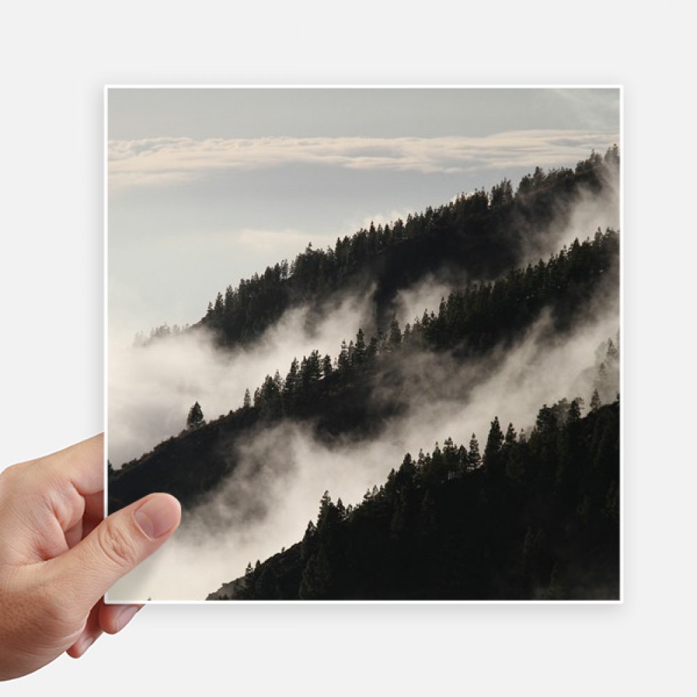 Stickers brouillard forêt brume de qualité supérieure pour mur et valise 20cm
