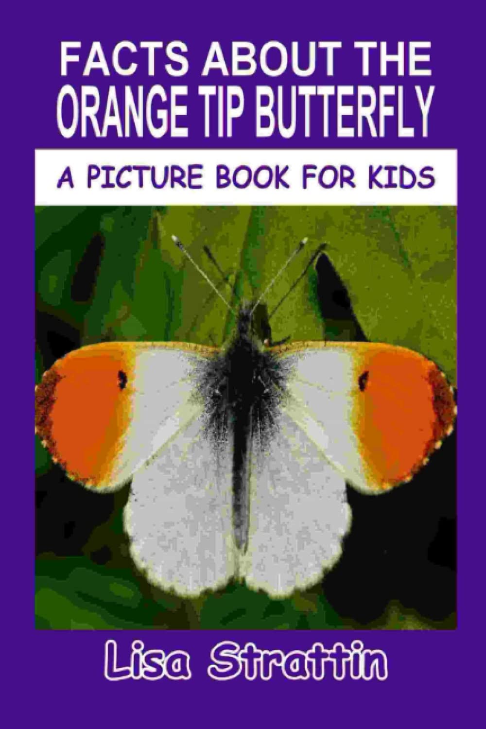 Facts About the Orange Tip Butterfly (A Picture Book For Kids)