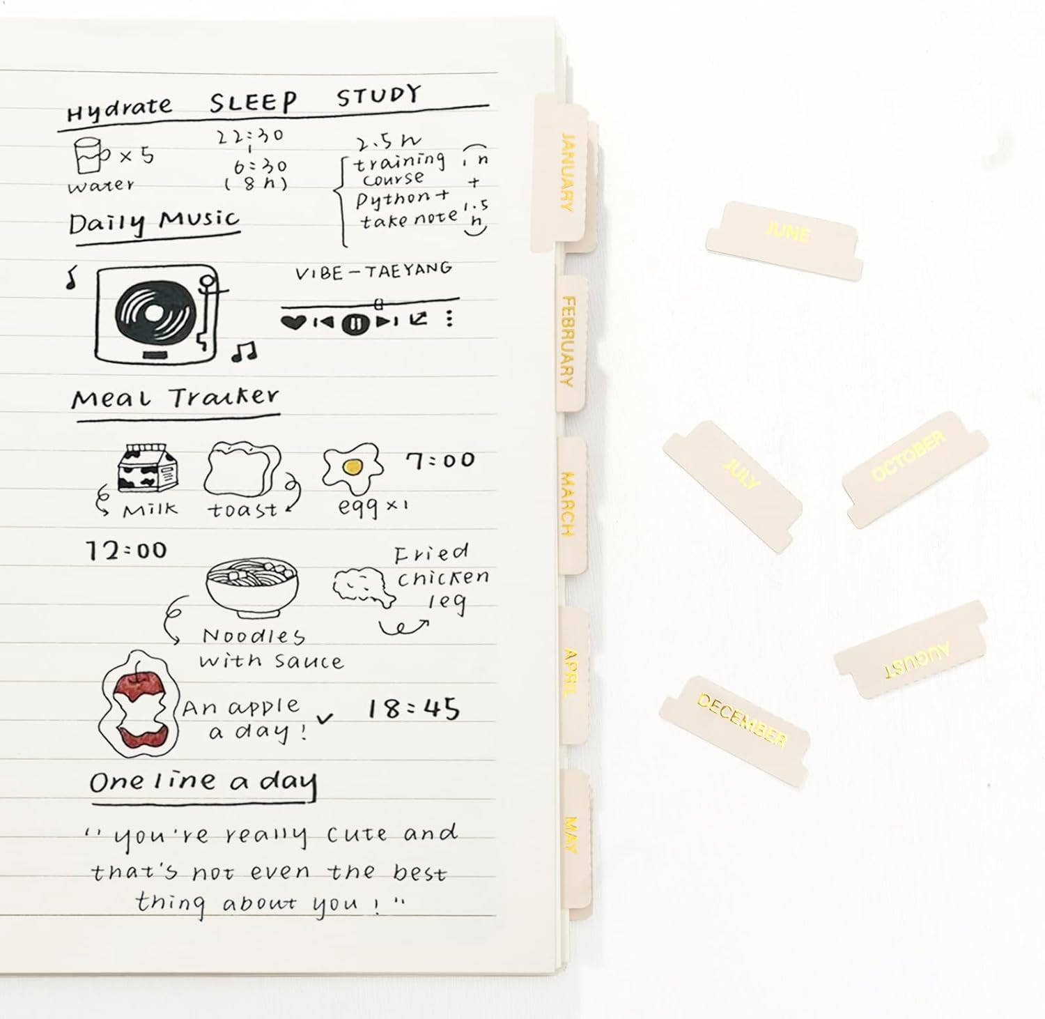 Lumintutu Gold Foil Embossed Planner Monthly Stickers, Laminated 40 Adhesive Plan Tabs Accessories for Notebooks, Hobonichi 2026 Happy Calendar Inserts Set (Latte) image 3