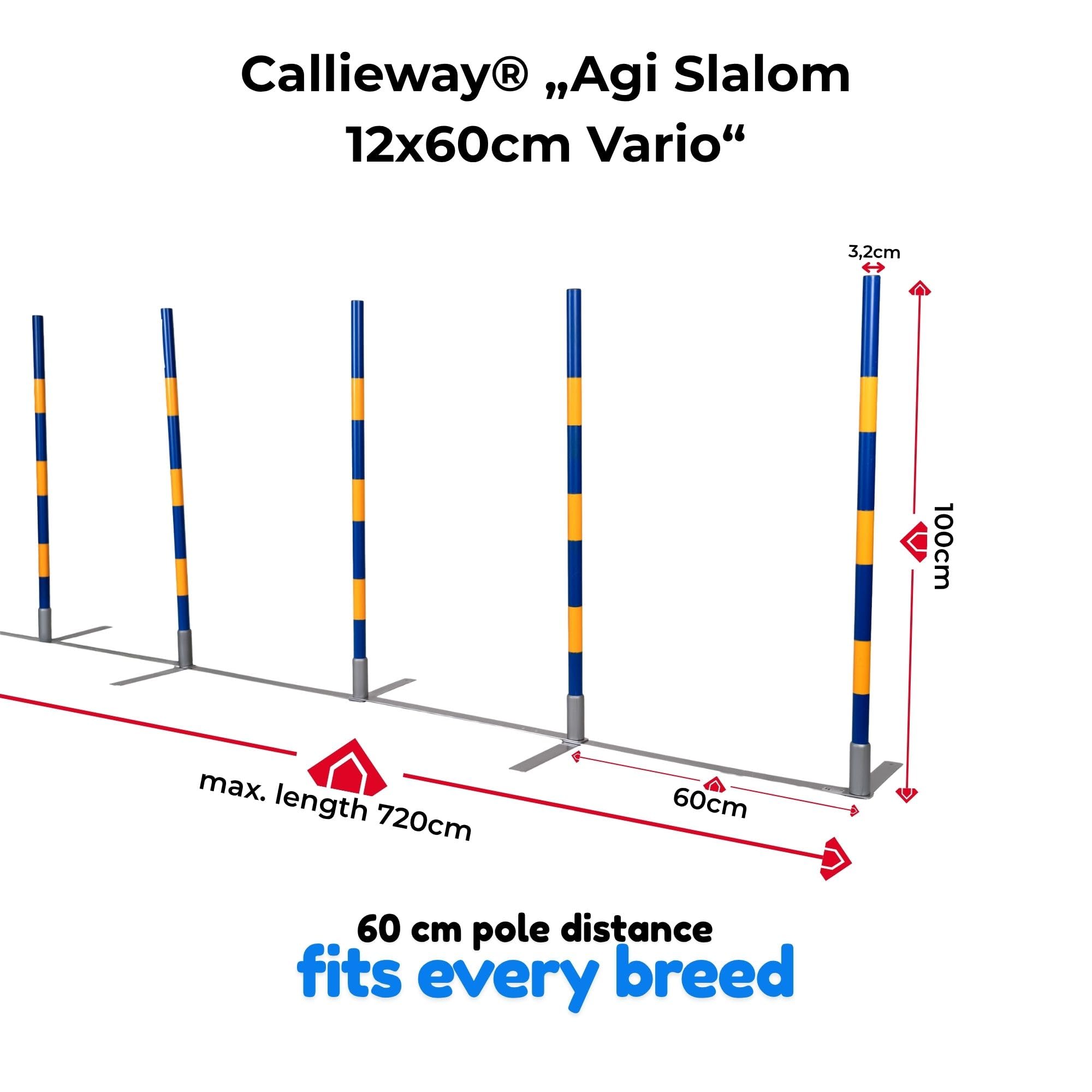 Callieway Agilidad Slalom, Slalom Embudo, Apretada de Slalom, Agilidad Teje Channel (según FCI)