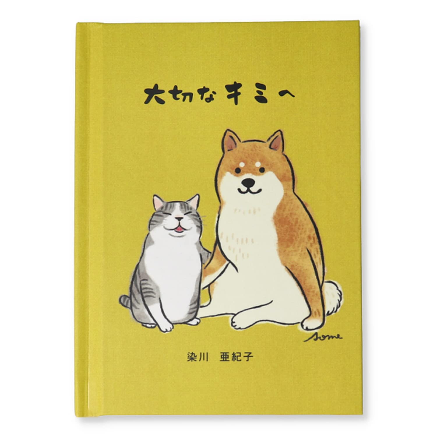 Amazon | ホールマーク カード 励まし 絵本カード 大切なキミへ 816841