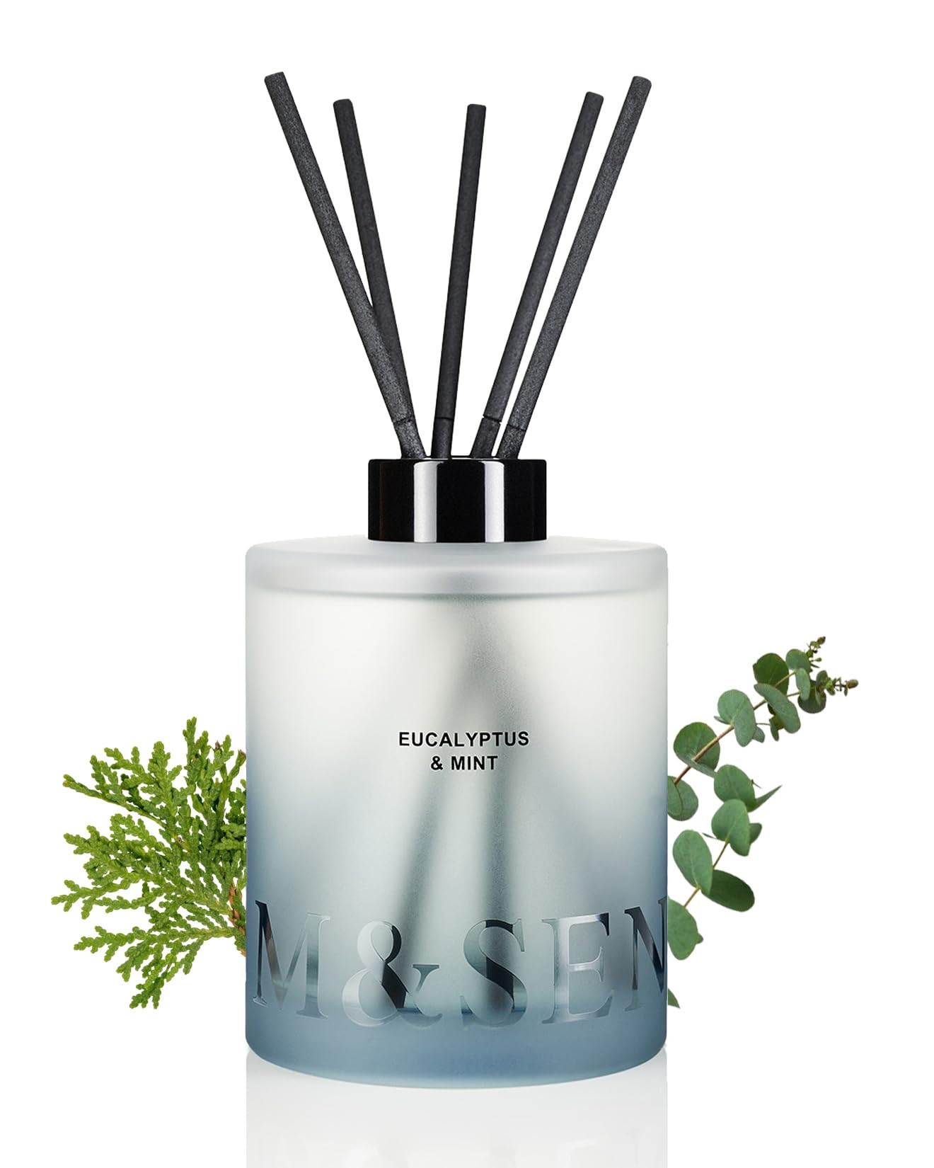 M SENSE Eucalyptus Mint Reed Diffuser Set - 16 9 fl oz Long-Lasting Fragrance Non-Toxic Scent Diffuser with