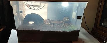 Review Image by Adam G Adam G