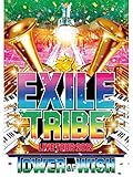 EXILE TRIBE LIVE TOUR 2012 ~TOWER OF WISH~