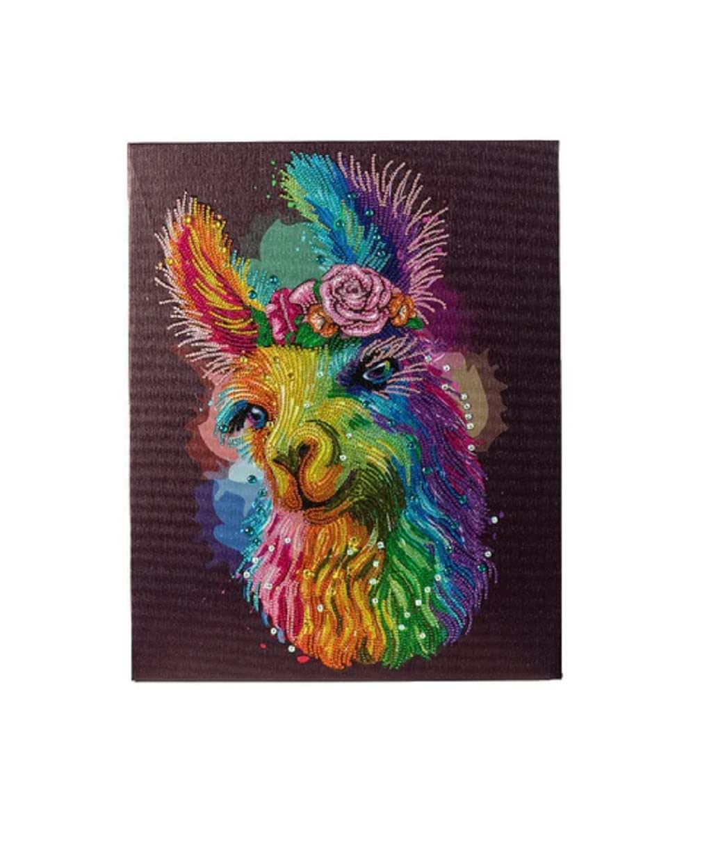 Rainbow Smiles - 40X50cm - Partial Crystal Craft Buddy Mounted Crystal Art / Diamond Painting Kits - 30Cm X 30Cm & 40Cm X 50Cm (Rainbow Smiles - 40X50cm - Partial Crystal)