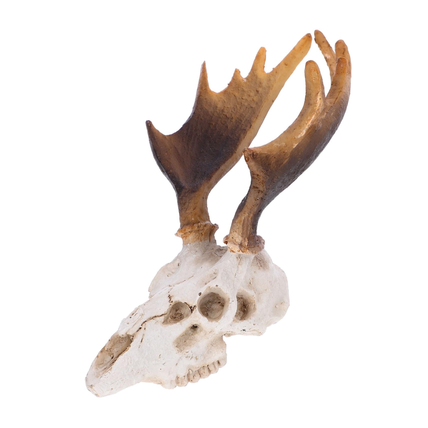 Toddmomy 3stücke Reptile Tank Dekoration Deer Skull Versteck Höhle Für Reptilien Baumaterialien Für Terraristische Pflegeleichtes Harzdesign