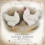 Babbitt Gwendolyn – Animaux carrés 22_X_22_in