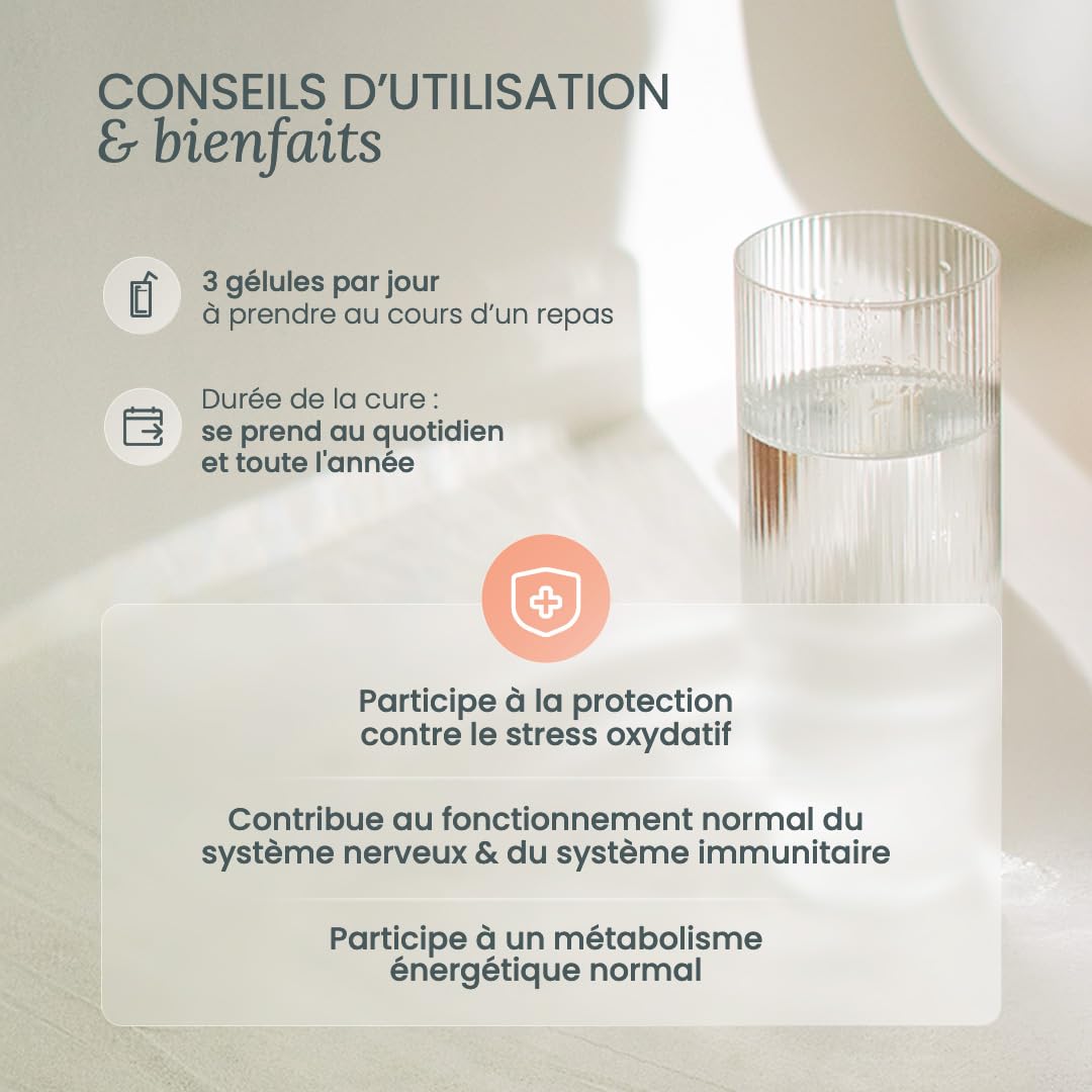 NUTRI & CO Multivitamines et Minéraux 25 Nutriments - Vitamines A B C D3 E K2 + Minéraux dont Magnésium et Zinc - Haute Absorption - 90 Gélules Vegan Friendly Conditionné en France