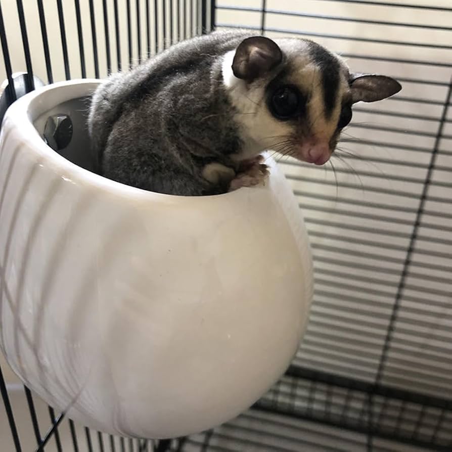 Amazon.co.jp: IYOIYA フクロモモンガ ポーチ 夏 陶器 ハウス 家