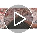 Rugshop Vintage Bordered Machine Washable Non Slip Area Rug Ideal for Living Room, Bedroom,Kitchen,Entryway,Dining Room,Office 2'6" x 7' Red