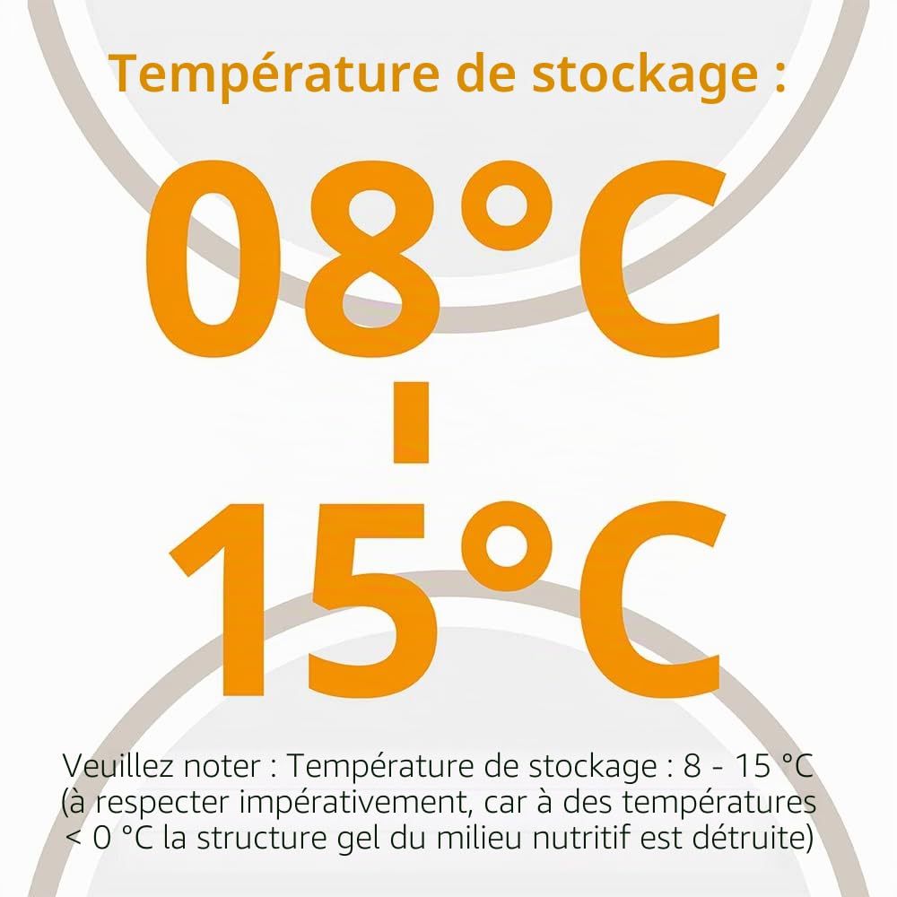 C3 10421 Lot de 20 terres nutritives champignons agar après Kimmig
