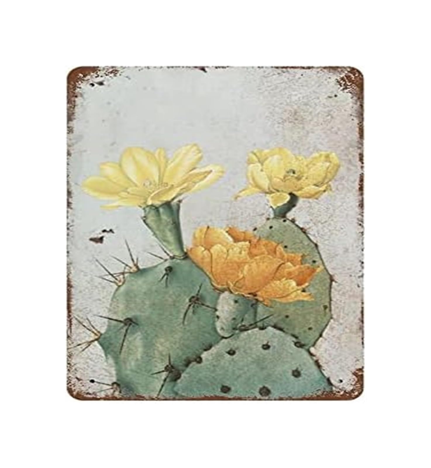 PKNVKZIDK Desert Botanical Sign Metal Tin Plaque Prickly Pear Cactus Vintage Wall-Art for Sunroom Conservatory Garden Room Spa Decor 8 X 12 inch