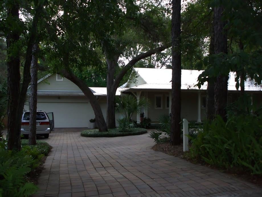 Asiatic/Dwarf Asian/Minima/Japanese/Yellow Star Jasmine (50 Bare Root Plants)