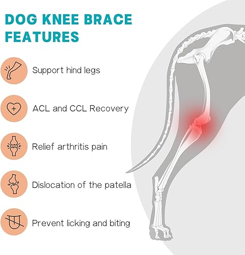 Miniatura 6 de Rodillera para perro para pierna trasera desgarrada, soporte ajustable con 2 estabilizadores para reducir el dolor, lesiones de ligamentos y rótula