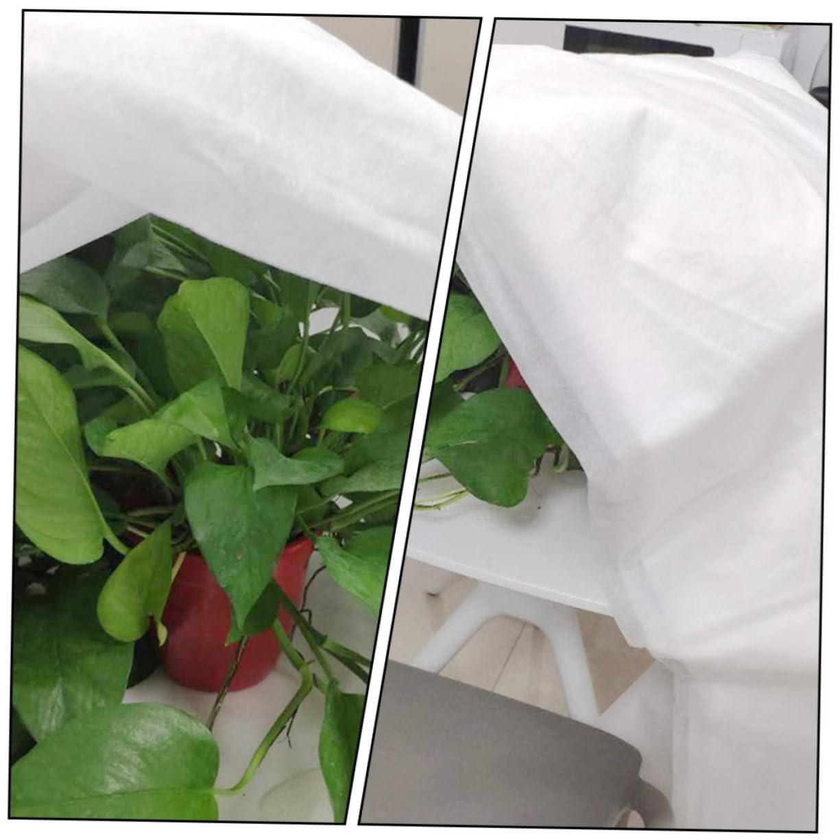 BESTonZON Copertura Non Tessuto per Piante da Giardino Inverno | Bianco, Lascia Passare Luce Acqua e Aria, Regola Umidità e Temperatura, per Cortile e Giardino