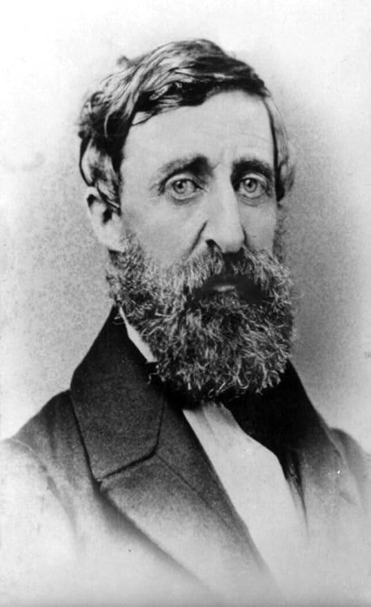 Amazon Co Jp Science Sourceによるヘンリー デイヴィッド ソロー アメリカ人作ポスター 18 X 24 おもちゃ Amazon Co Jp Science Sourceによるヘンリー デイヴィッド ソロー アメリカ人作ポスター 18 X 24 おもちゃ