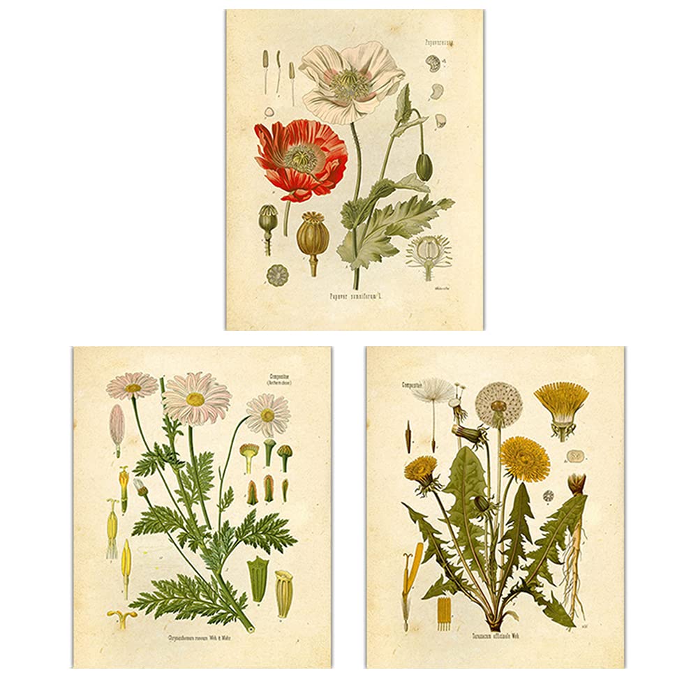 Dandelion 3 Piece Elegant Flowers Unframed Canvas Wall Art Painting,Hand-Painted Modern Nature Artwork Grey Plants Canvas Prints for Home Office Bedroom Living Room Wall Decor (Grey, 12" x 16")