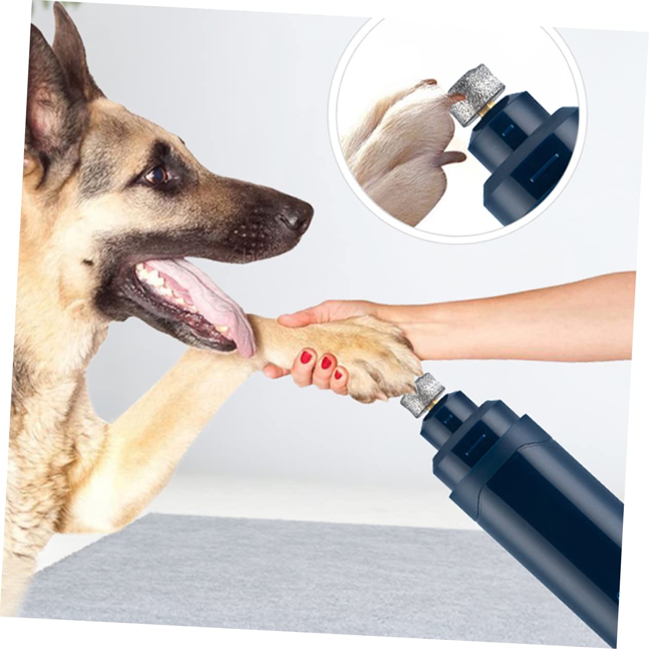 Coupe-Griffes Électrique pour Animaux De Compagnie Coupe-Ongles Automatique USB pour Chiens Et Chats Bleu Marine