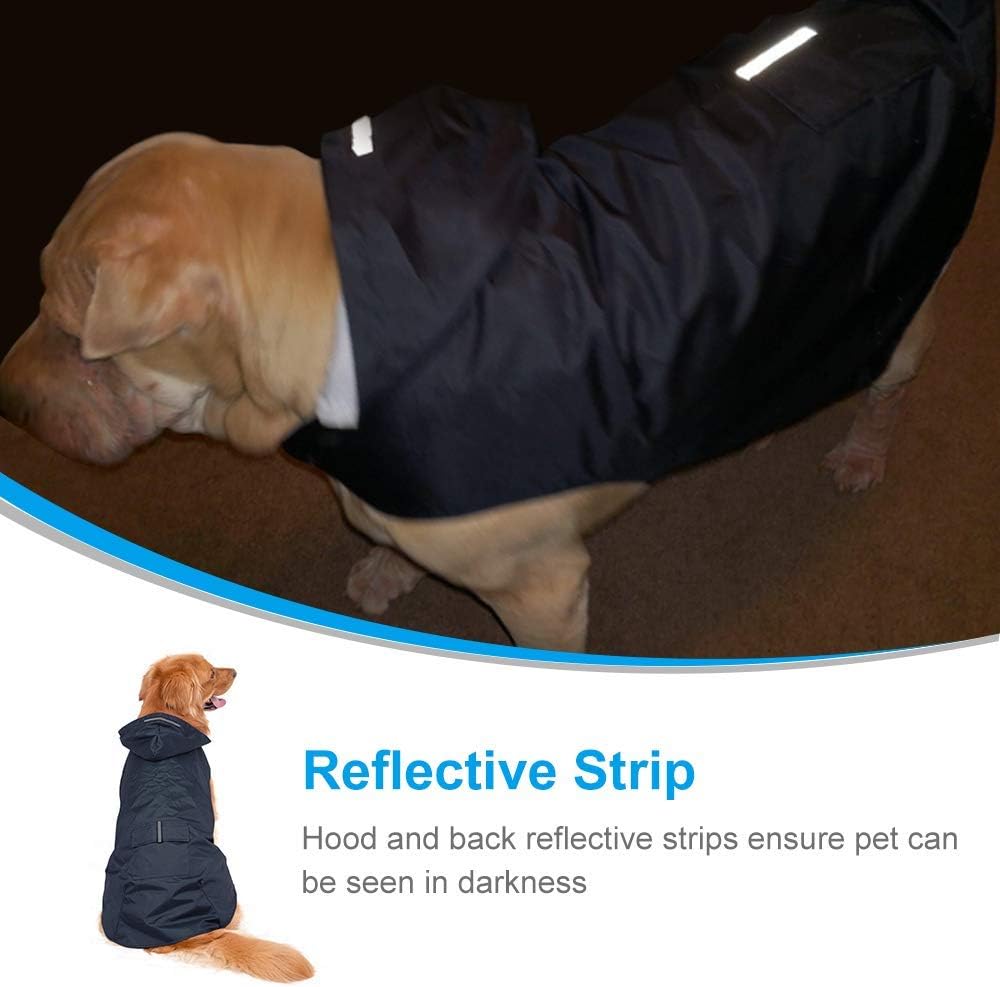 leather pinch collar