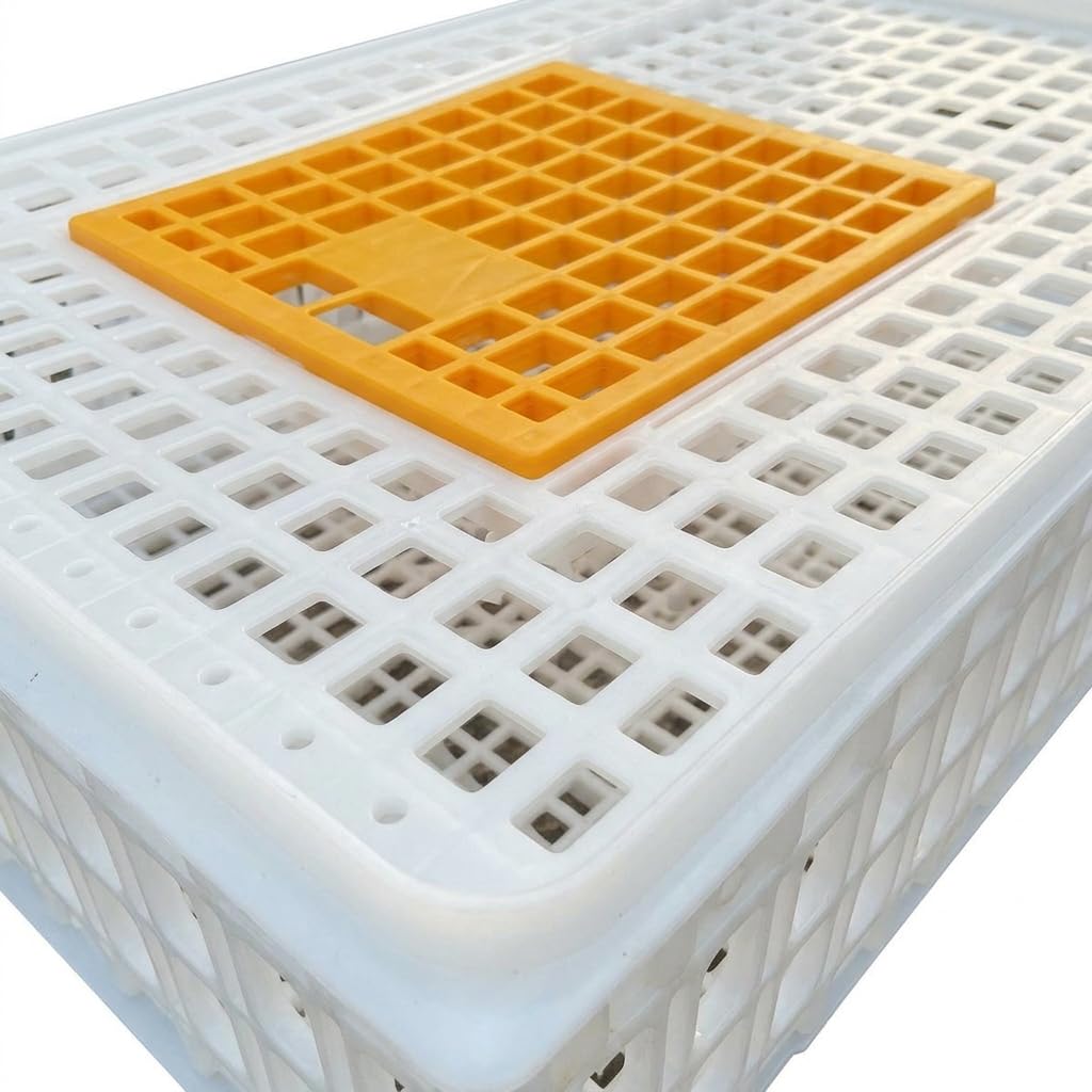 Transportín Plástico Anti-Caída y Anti-Presión para Gallinas, Conejos, s y Codornices, Blanco