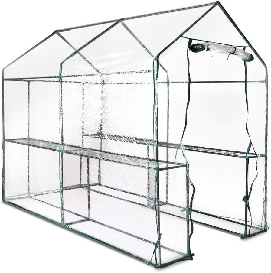 1.9x1.2x1.9M Walk In Transparent Green House