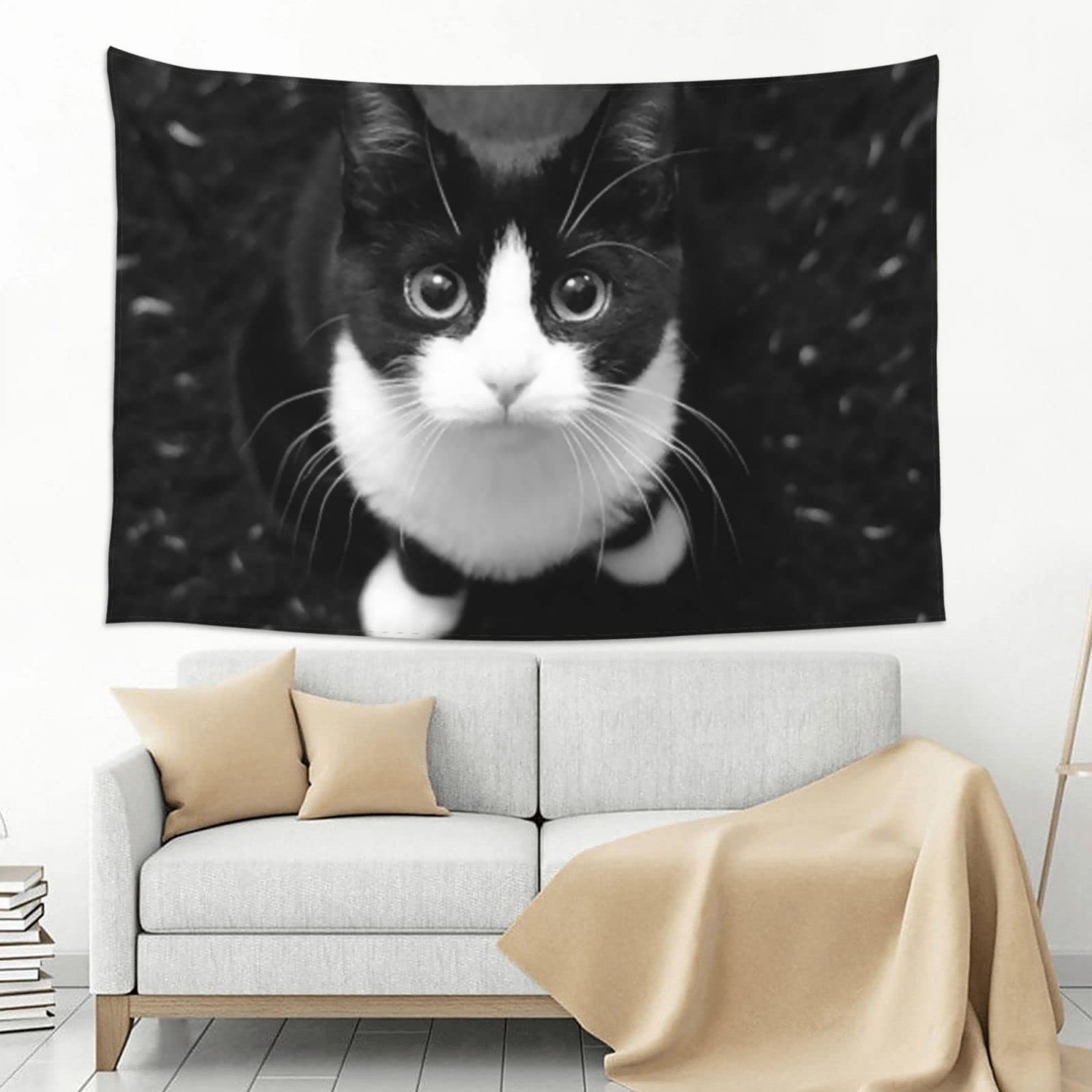 Amazon.co.jp: タペストリー 猫 八割れ猫ちゃん ディアーアニマルズ 布