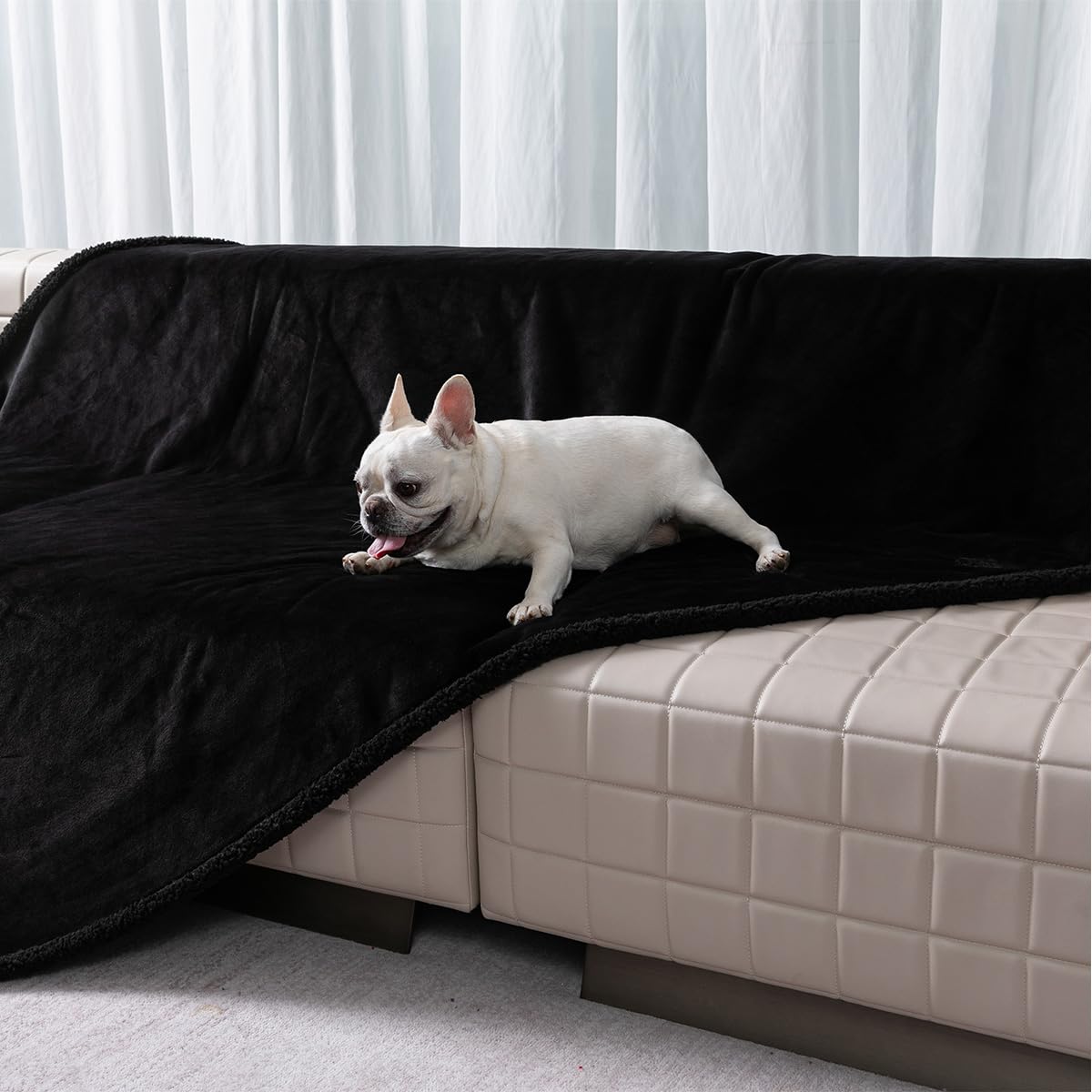 Couverture imperméable en polaire Sherpa pour animal de compagnie et chat - Couverture chaude et apaisante pour chaton - Pour canapé, voiture et chenil (noir, 145 x 216 cm)