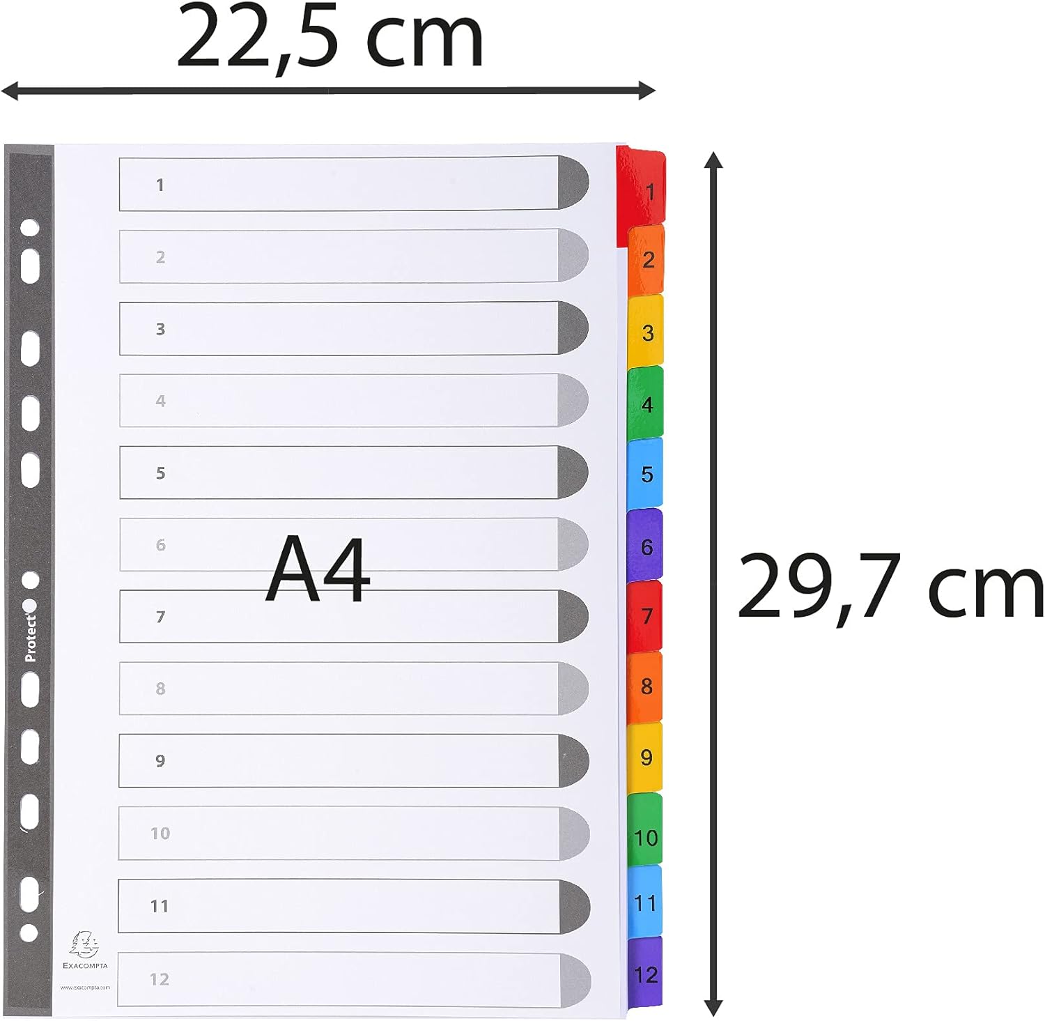 Exacompta - Ref 1112E - Mylar Printed Indices - for Use WithA4 Documents, Pre-Punched, 160gsm White Card with Reinforced Plastic Tabs, FSC-Certified - 12-Part Dividers (1-12)